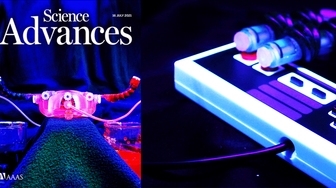 New 3D-Printed Soft Robotics Paper Featured the *Front Cover* of Science Advances! | Advanced